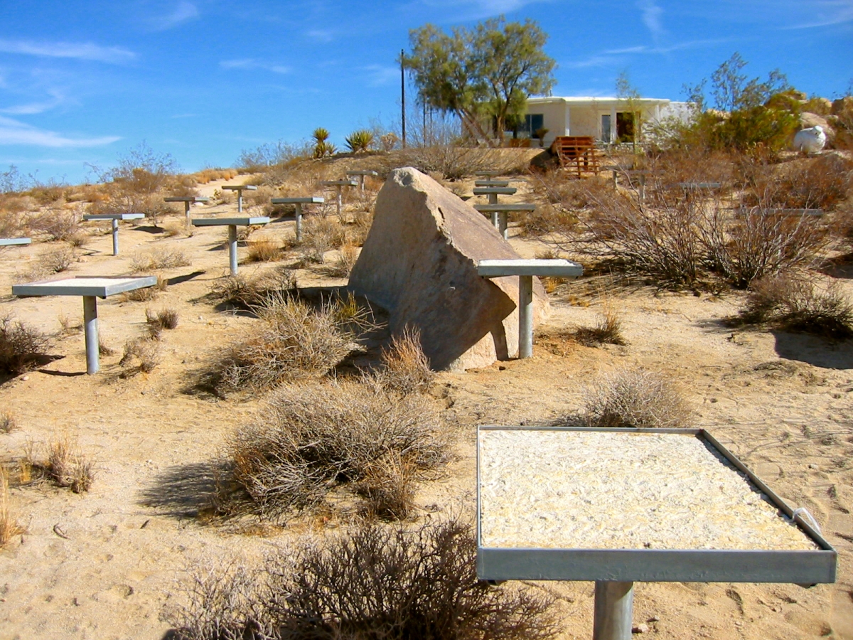 regenerating-field-2jpg-1200x-q100