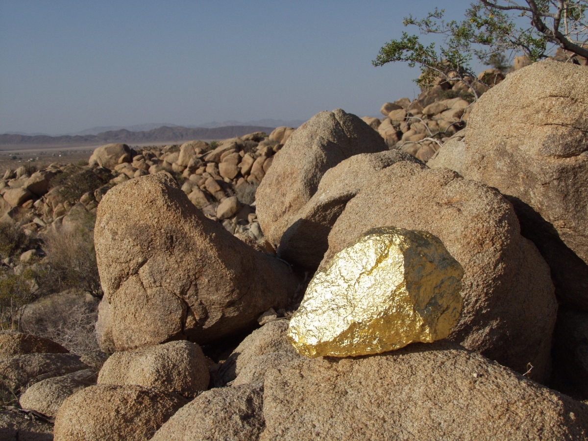 photo-lisa-auerbachp7140182-1200x-q100