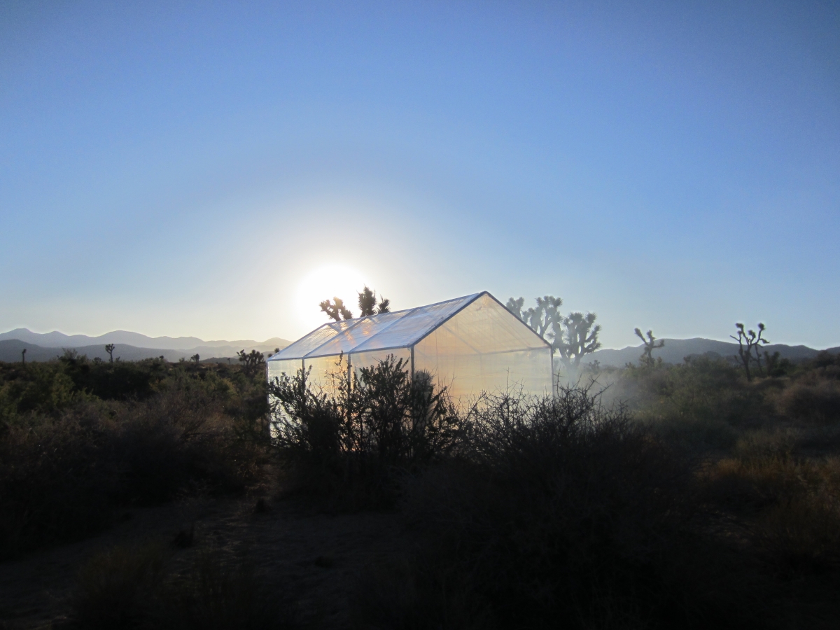 03-nao-ptpt-1200x-q100