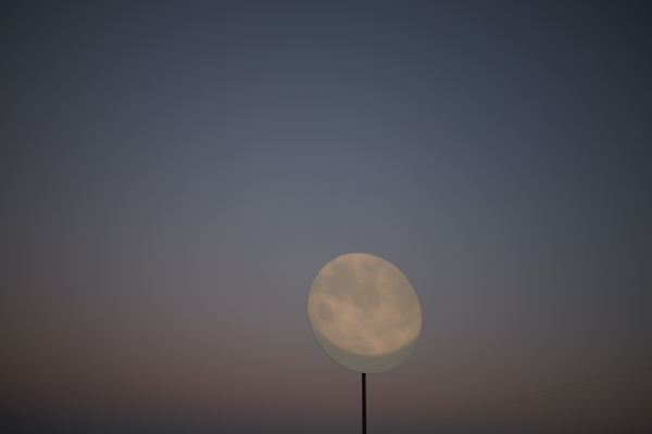 ephraim-puusemp-bluddy-600x-q100