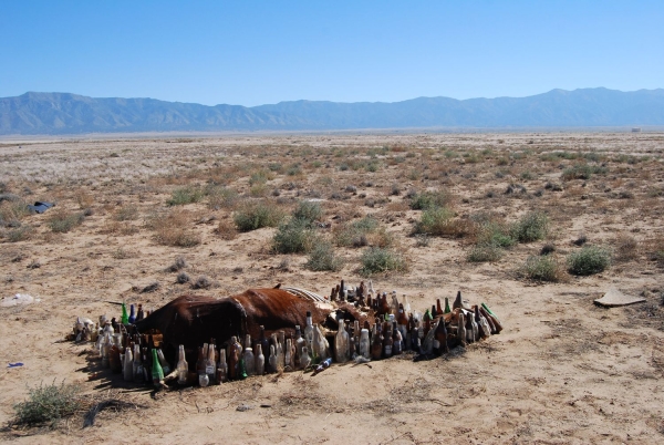 10192013-scalkins-333-600x-q100