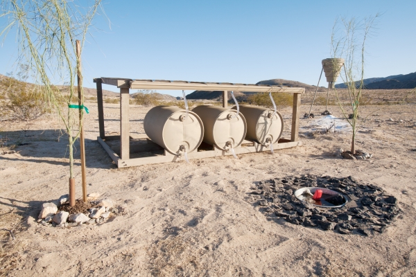 dierdorff-2-600x-q100