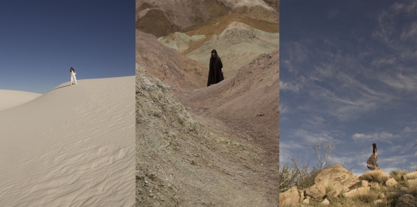 hdts2013horizontal-600x-q100