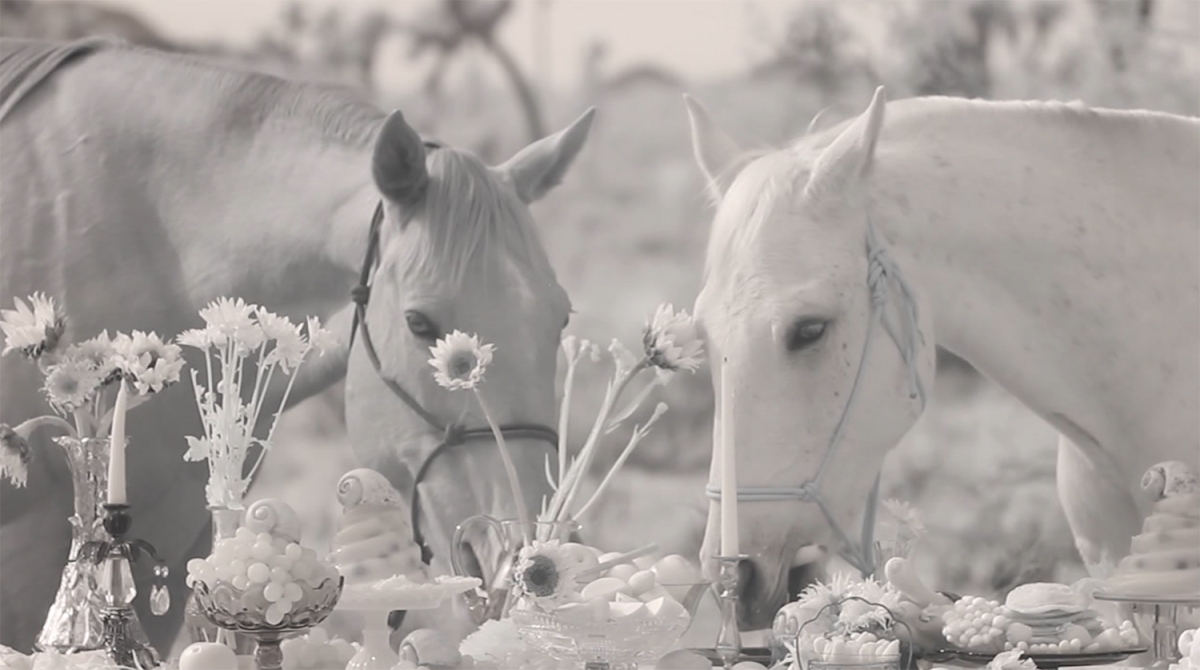 twohorses-1200x-q100