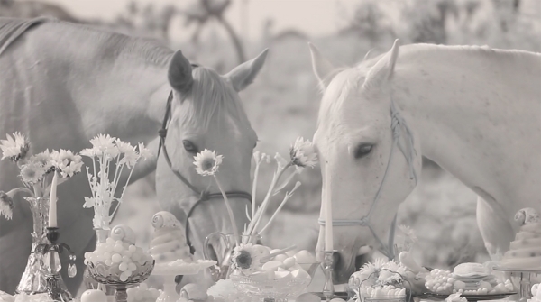 twohorses-600x-q100