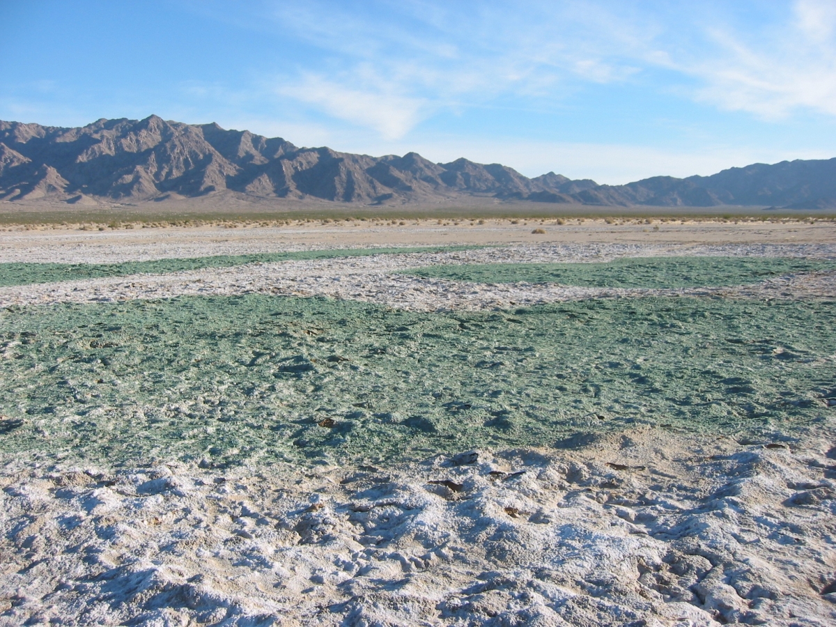 photo-by-christopher-james-img-0901-sm-1200x-q100