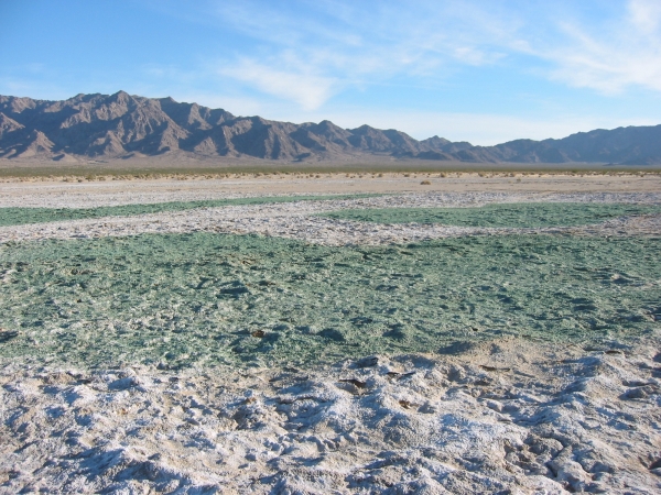 photo-by-christopher-james-img-0901-sm-600x-q100