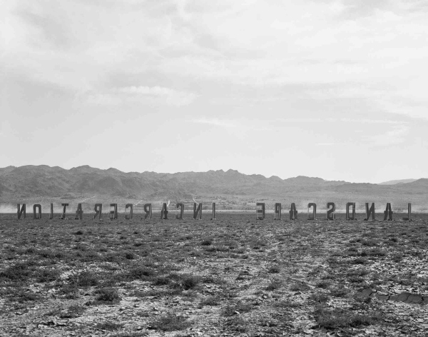 shannon-land2-sm-600x-q100