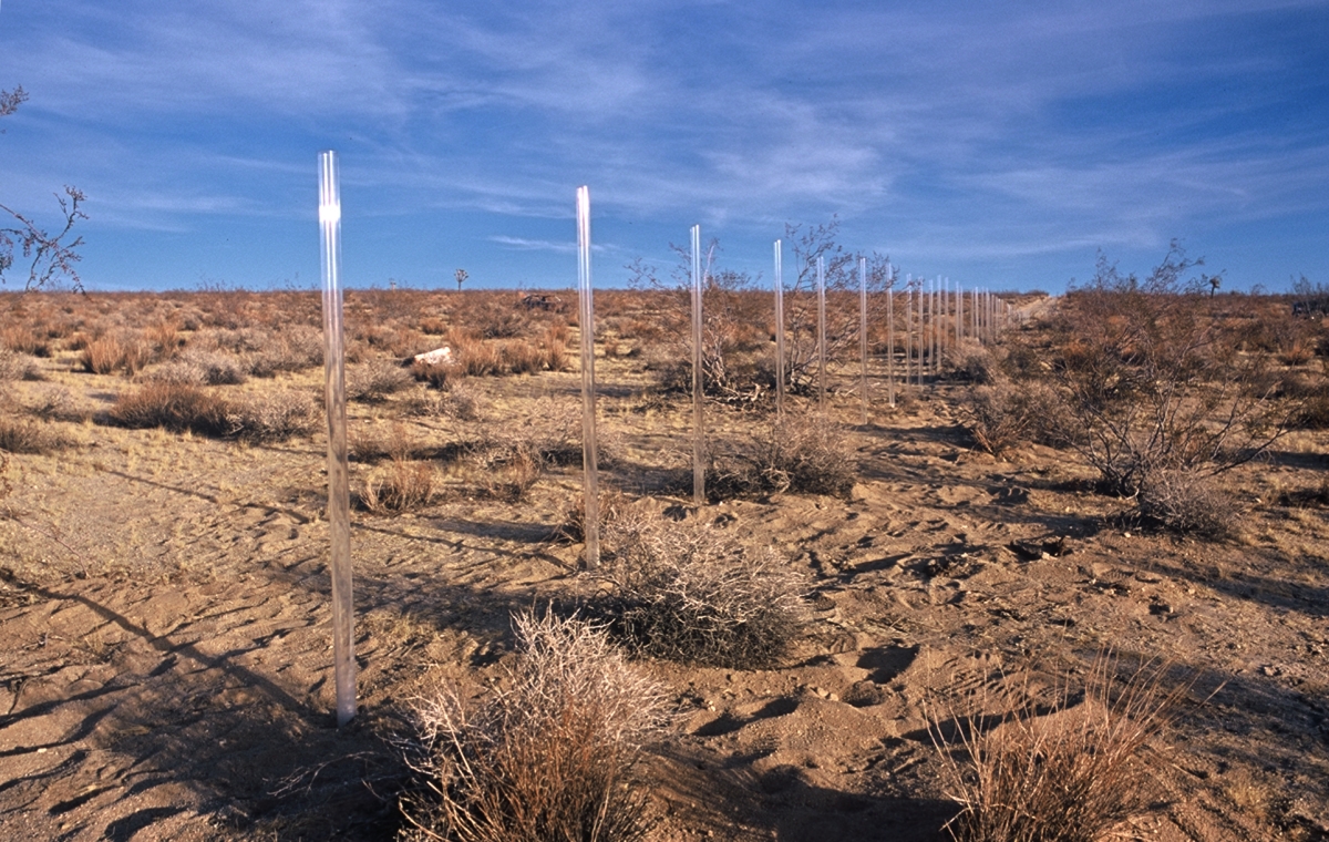 allencompton-fenced-1200x-q100