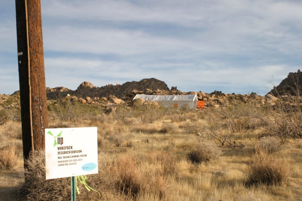 01-3raskin-settingup96-lisi-600x-q100