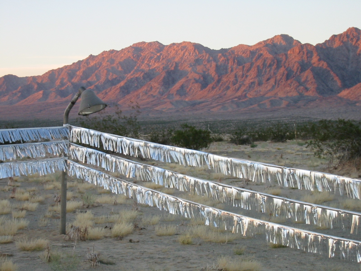 147-4765-img-1200x-q100