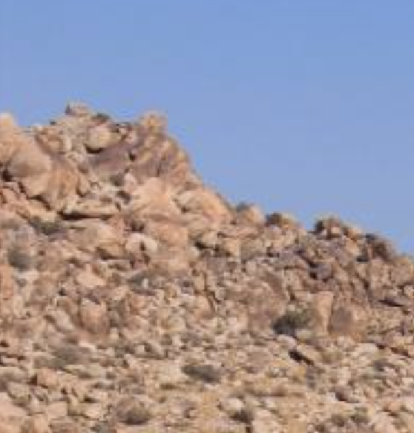 screen-shot-2018-11-06-at-2-04-28-pm-600x-q100