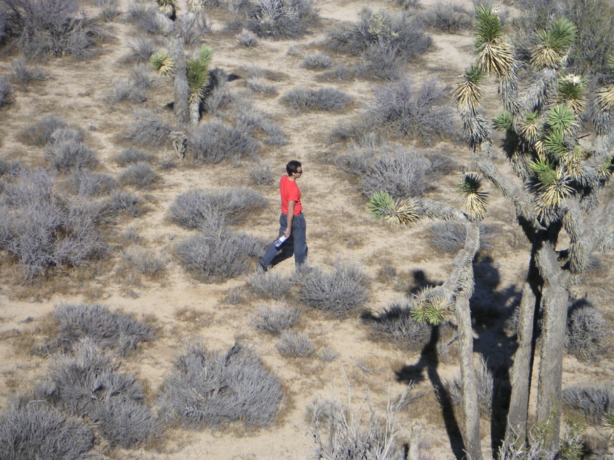 nyartistfromromaniapict0303-1200x-q100