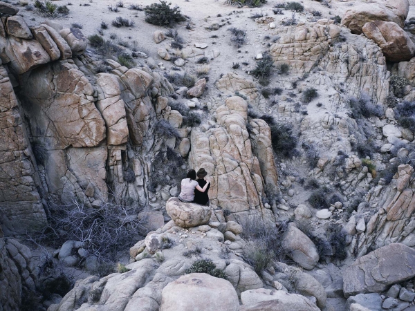 2-ellh-hdts-17-600x-q100