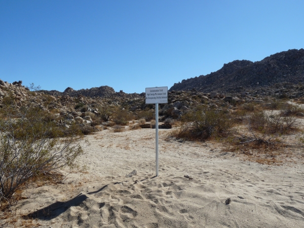 photo-gordon-zittelp1000115-600x-q100