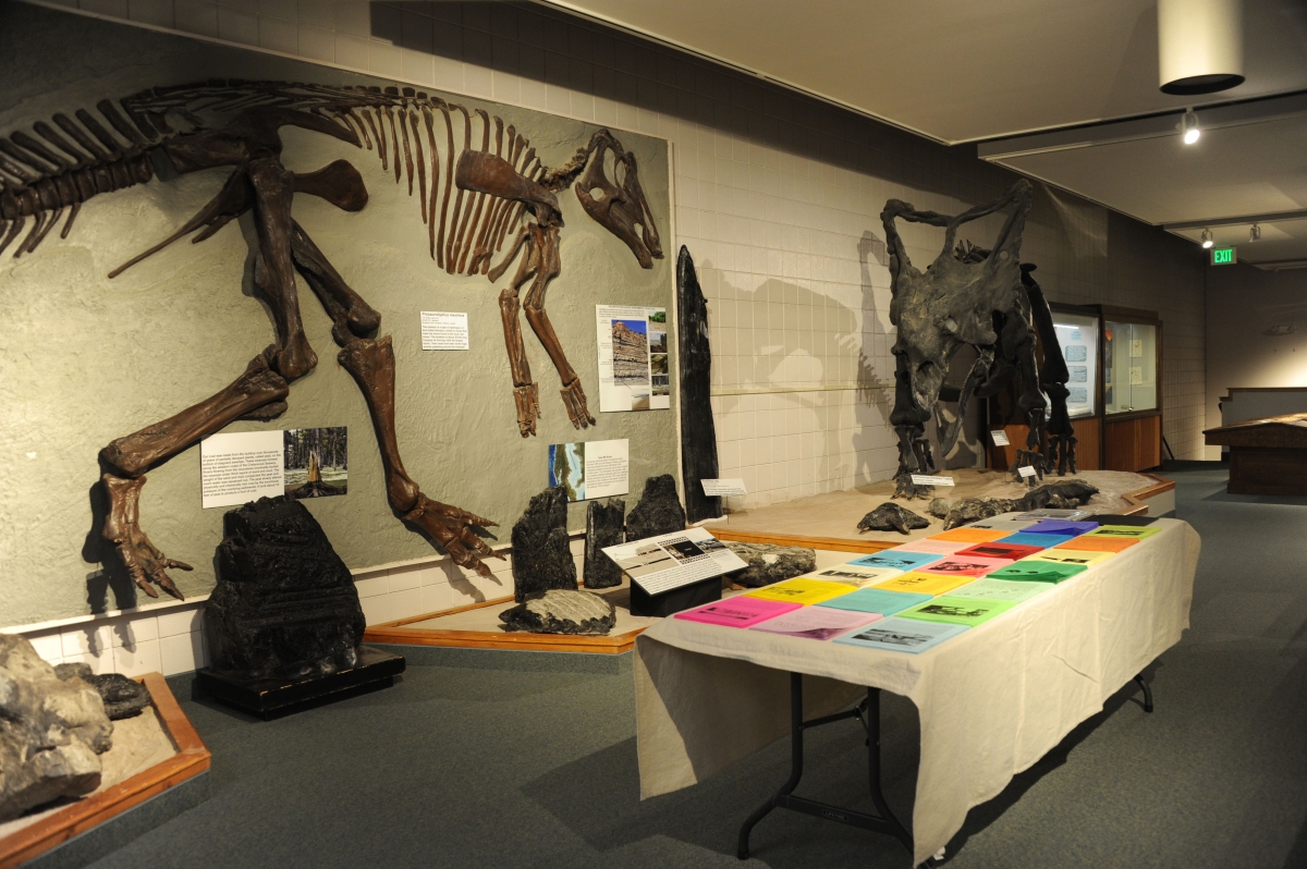 20151009-130255-1200x-q100