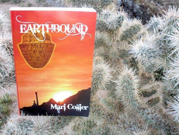 earthbound-630-cholla-close-1200x-q100