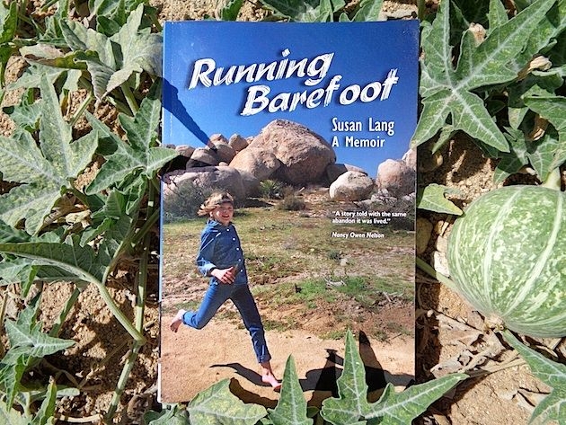 barefoot630-5-1200x-q100