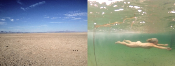 film-exchange-600x-q100